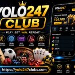 yolo247.