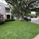 artificial grass installation dallas tx