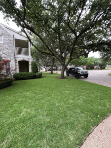 artificial grass installation dallas tx