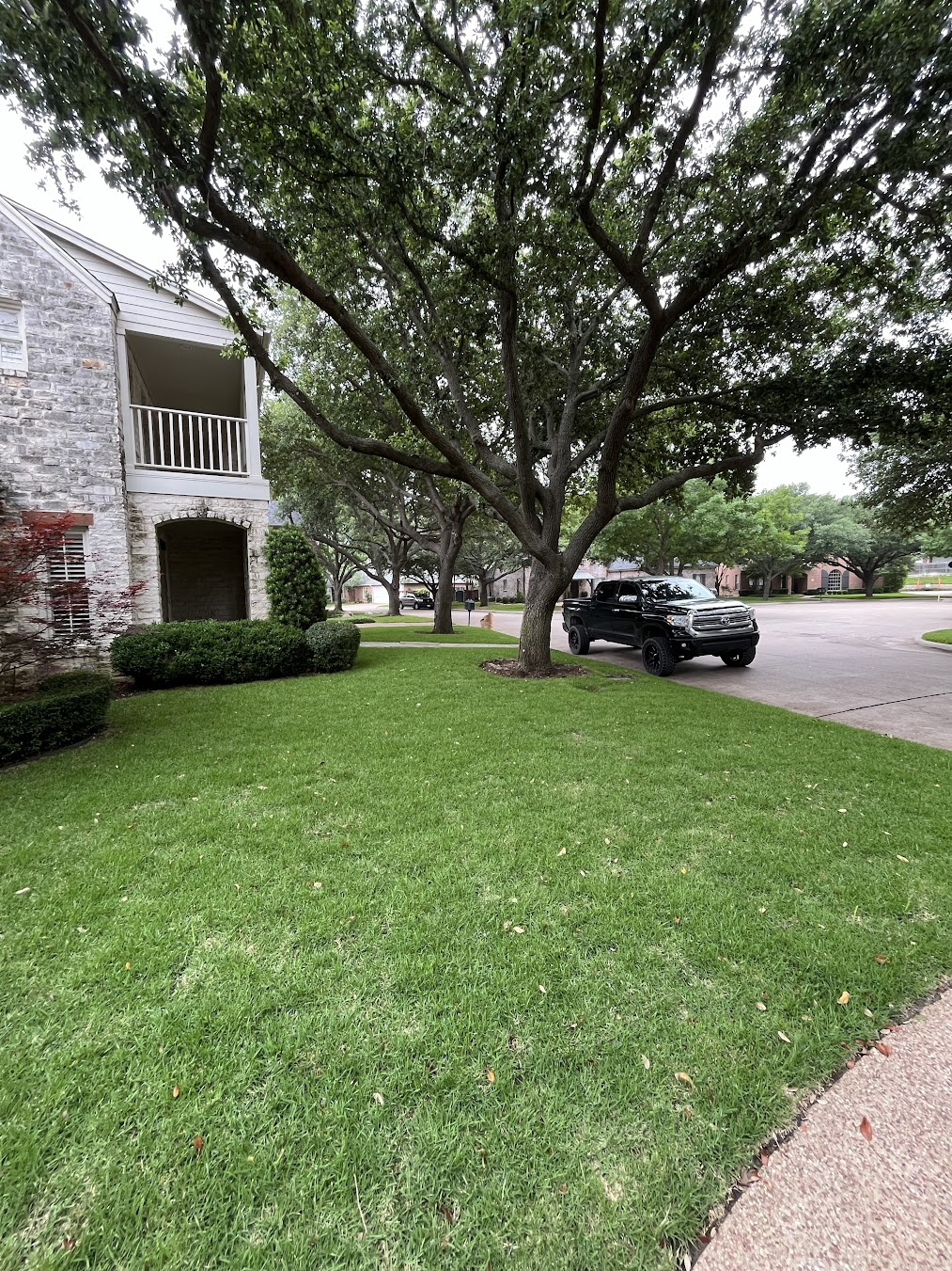 artificial grass installation dallas tx