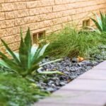 Landscaping Services in Dallas TX