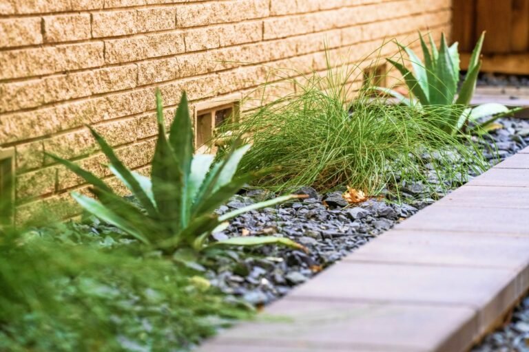 Landscaping Services in Dallas TX
