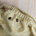Bedbugs control singapore