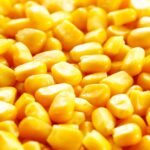 Corn Starch Market