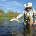 Delta Colorado lodging