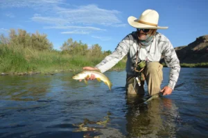 Delta Colorado lodging