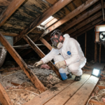 How Much Does Attic Mold Removal Cost?