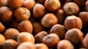Global Hazelnut Market