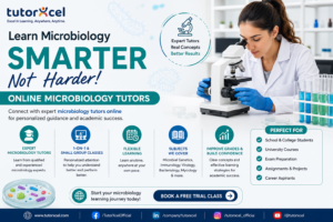 Online Microbiology Tutor for Academic Excellence