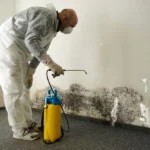 Warning Signs You Need Professional Mold Remediation Services