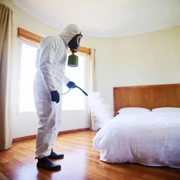 Bed Bugs Treatment