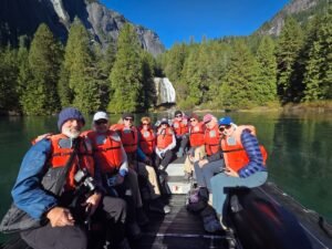 Tofino Whale Tours