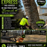 Tree Removal
