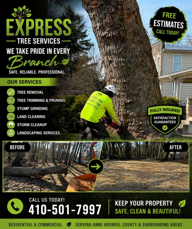 Tree Removal