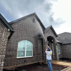 solar panel cleaning services