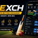 oexch (2)