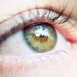 udi Arabia Contact Lenses Market