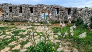 Greece real estate 2025 2026