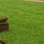 artificial grass installation dallas tx