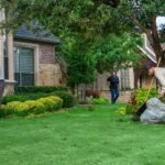 Lawn Care Grapevine TX