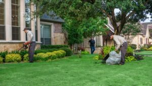 Lawn Care Grapevine TX
