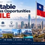 Profitable Business Opportunities in Chile