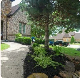 Landscaping in Mansfield TX