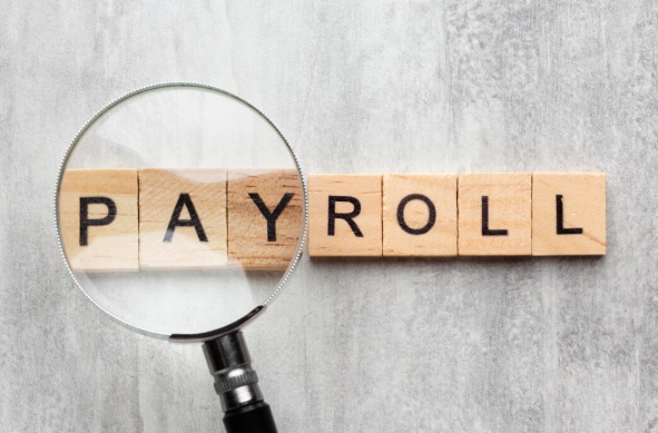 payroll software