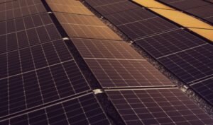 Sunaura_Solar