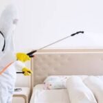 bed bugs