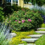 landscaping Mansfield TX