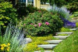 landscaping Mansfield TX