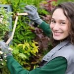 Tree Service Plymouth MN