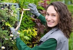 Tree Service Plymouth MN