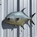 imageye___-_imgi_15_permit-25-hm-headview__71433.1743002321