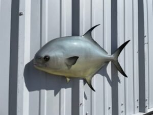 imageye___-_imgi_15_permit-25-hm-headview__71433.1743002321