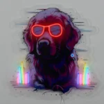 Custom Neon Lights