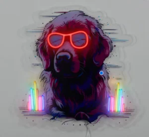 Custom Neon Lights