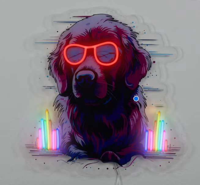 Custom Neon Lights