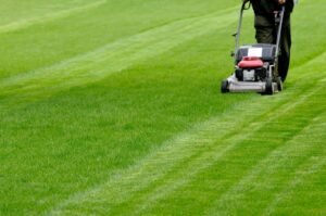 Lawn Mowing Service Weatherford TX