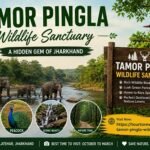 Tamor Pingla Wildlife Sanctuary forest and wildlife in Chhattisgarh