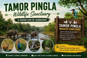 Tamor Pingla Wildlife Sanctuary forest and wildlife in Chhattisgarh