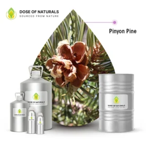Pine Needle Oil Manufacturers in India
