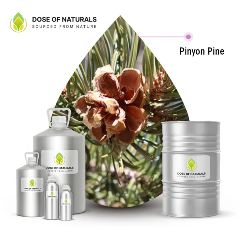 Pine Needle Oil Manufacturers in India
