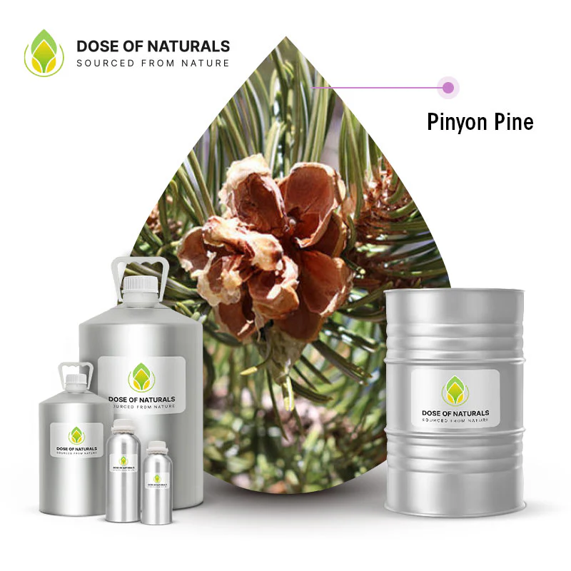 Pine Needle Oil Manufacturers in India