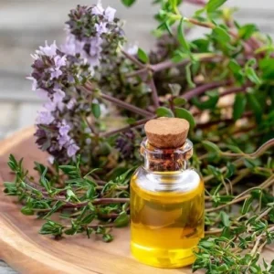Thyme Oil Manufacturers
