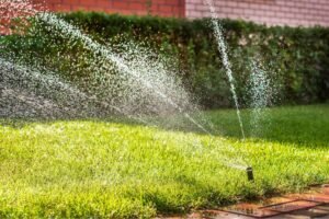 irrigation services