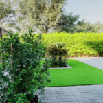 Drainage Contractors in Tyler TX