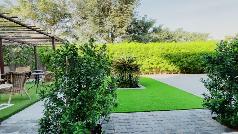 Drainage Contractors in Tyler TX