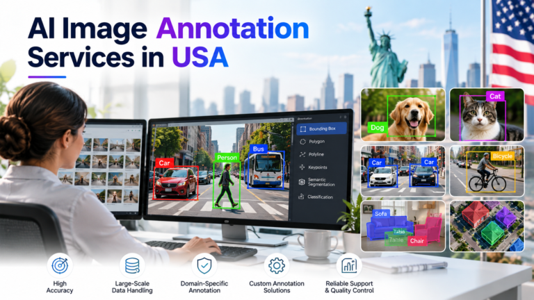 AI Image Annotation Services